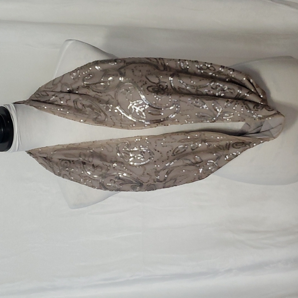LOFT Shinny Silver Sequin Design Infinity Scarf